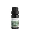 Éterický olej Eukalyptus citronovonný (Varianta 10 ml)