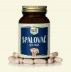 Spalovač muži