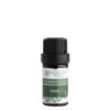 Éterický olej Santal (Varianta 1 ml)