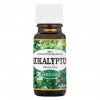 Eukalyptus - Cina 10 ml | Esenciální oleje Salus