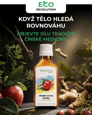 Tradiční čínská medicína se dívá na lidské tělo úplně jinak, než jsme zvyklí v západním světě. Neřeší jen jednotlivé...