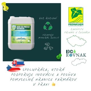 🔥 Horúce dni? Rastliny netreba len chrániť – treba im pomôcť fungovať. Počas extrémnych teplôt rastliny často uzatvárajú...