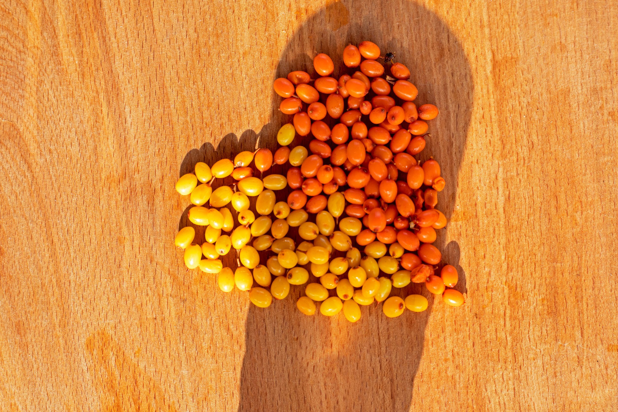 Jak s pomocí přírody podpořit svou imunitu - nejen na podzim