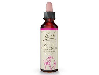 Dr. Bach Sweet Chestnut 20 ml