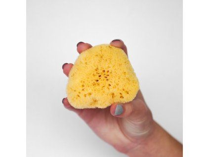 15123 47524 256c045cd9