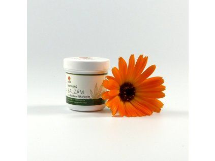 0240L 666093 68247a0935