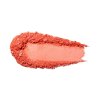 1CBHHM Fruit Pigmented Blush Mimosa Swatch
