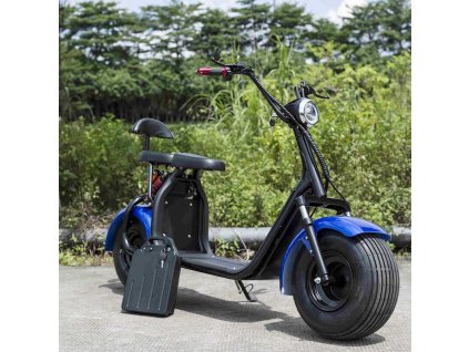 removable battery harley citycoco electric bike