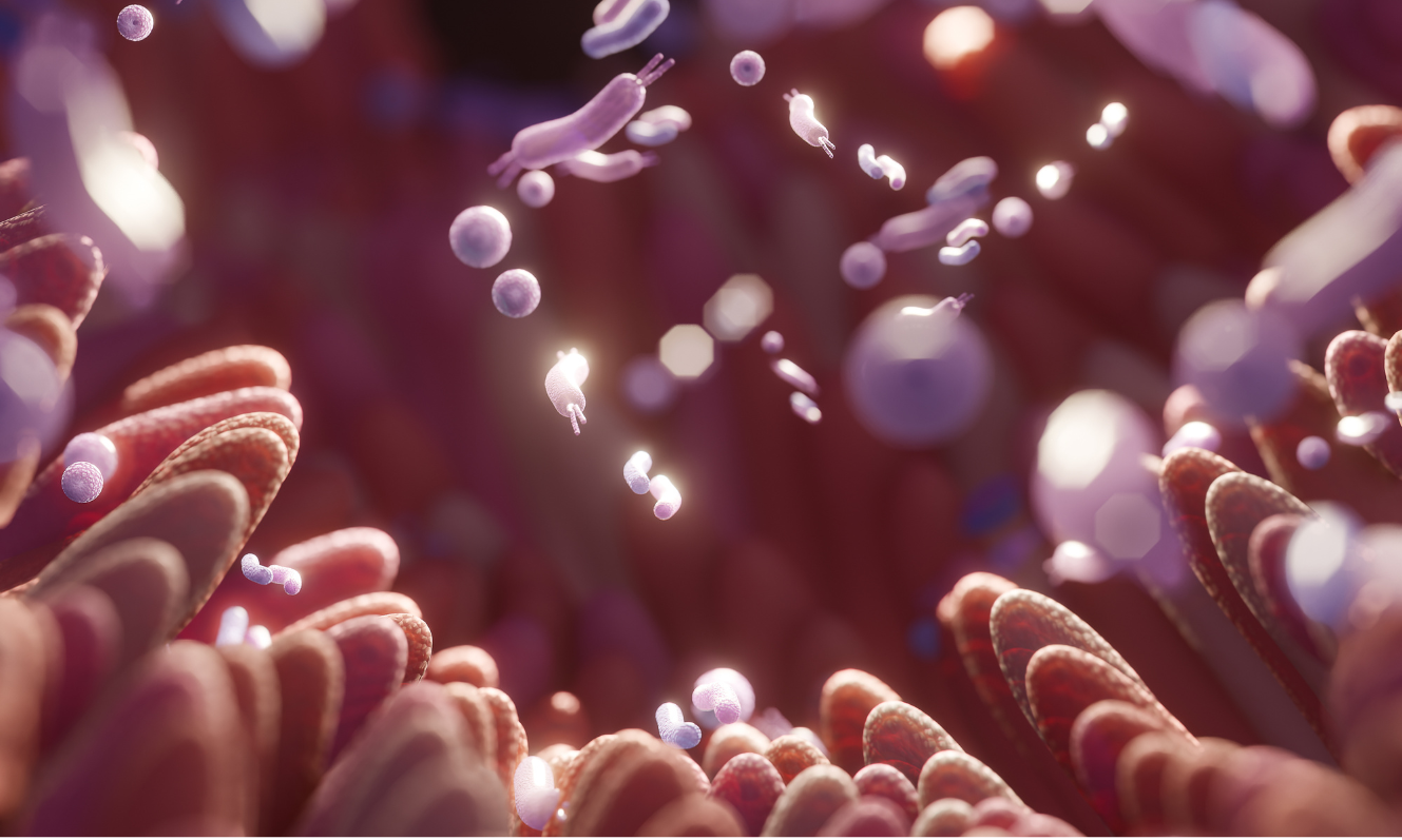 Antibiotika - vliv na náš mikrobiom