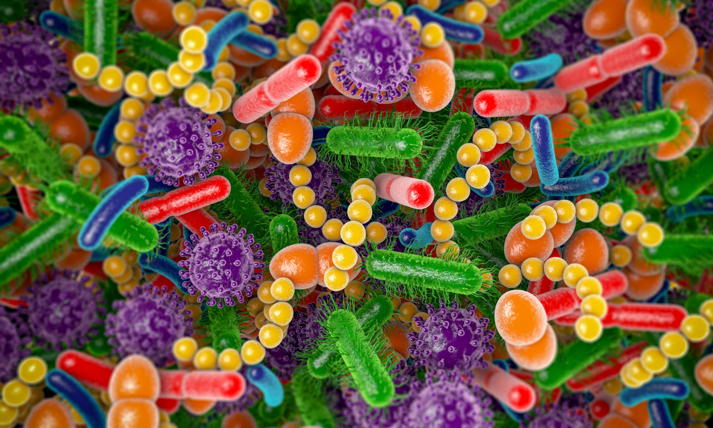 Mikrobiom v domácnosti