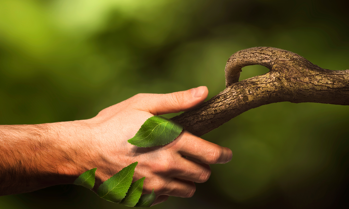 Důležitost mikrobiomu