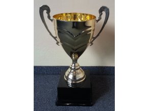 sportovní pohár P 900