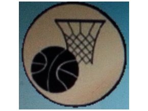 basket