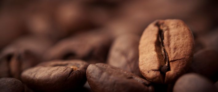 Proč si zamilujete Kamiru