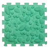 3042 500x500