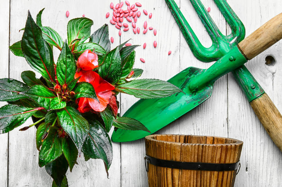 9 tipů na zahradní nářadí a příslušenství 