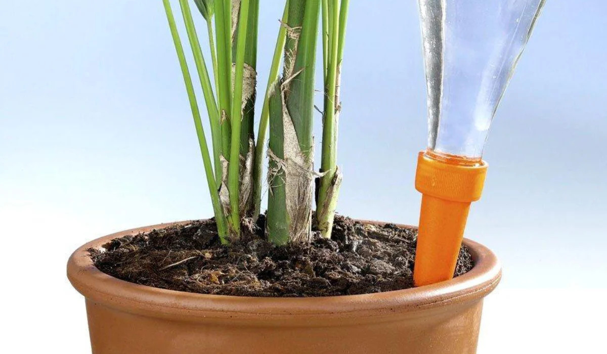 Zavlažovače na květiny – užitečné pomůcky pro zalévání rostlin