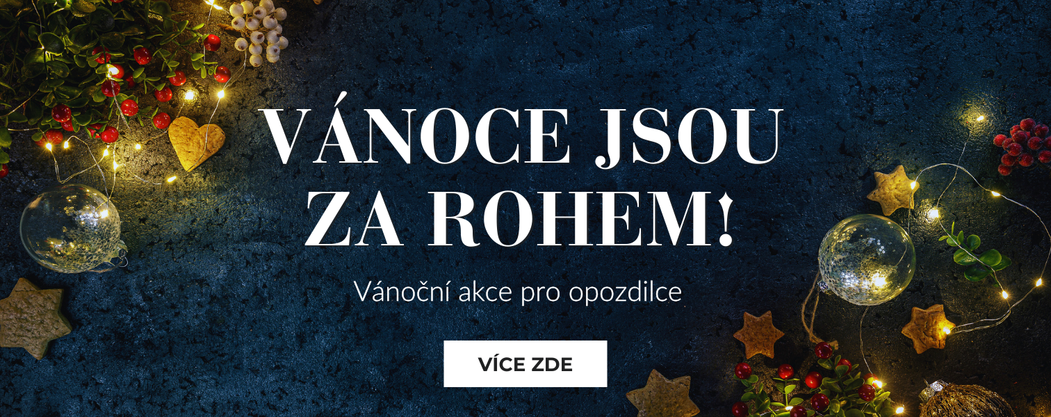 Vánoční výprodej