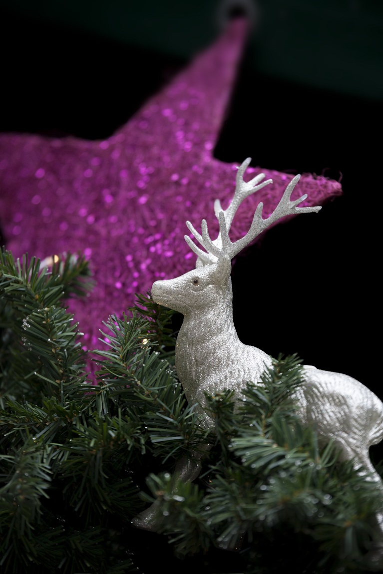 a-christmas-decoration-with-a-star-and-a-deer-PVCDCSG