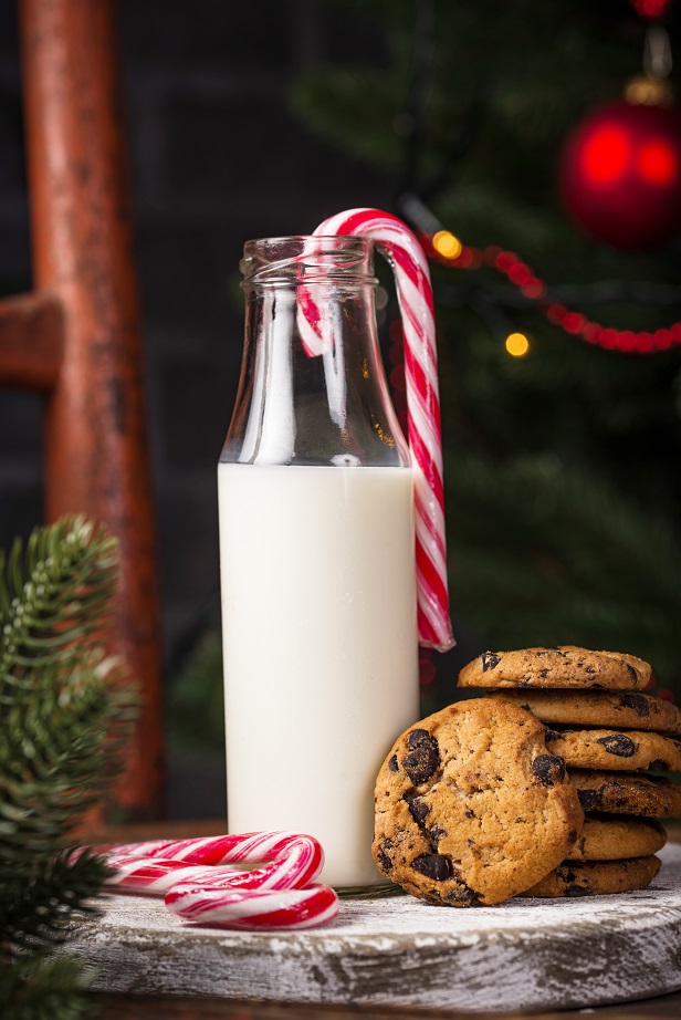 cookies-with-chocolate-and-milk-4SNFWJQ