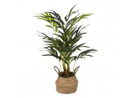 Umělá palma jako živá v pleteném květináči, výška 80 cm