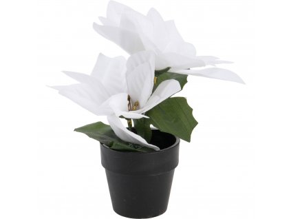 Umělá betlémská hvězda v květináči, výš, 18 cm, bílá