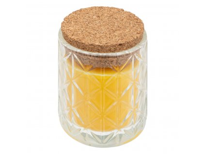 Svíčka proti hmyzu citronella ANY, 8 hodin hoření