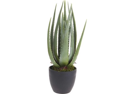 Umělá rostlina Aloe, 45 cm