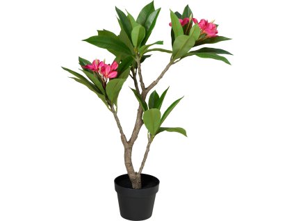 Umělý stromek v květináči Frangipani, 50 x 90 cm