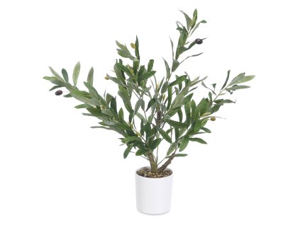 Dekorativní olivovník, 58 cm