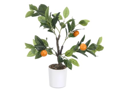 Dekorativní pomerančovník, 58 cm