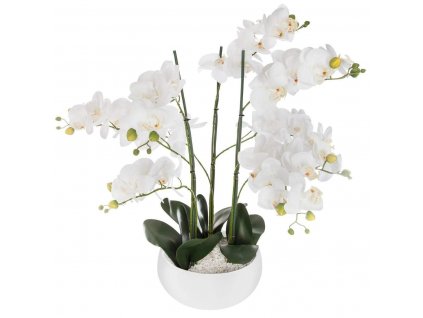 Umělá rostlina, umělá orchidej, bílý květináč, 65 cm