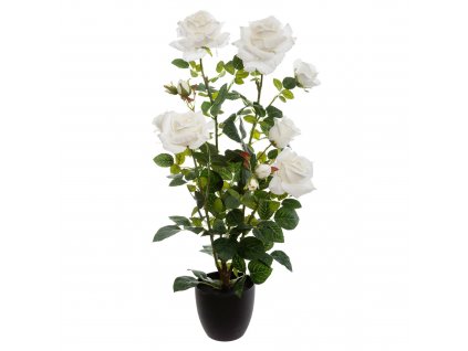 Umělá rostlina v květináči Růže, 74 cm, bílá