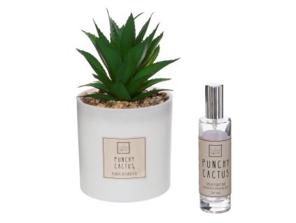 Umělá rostlina s vonným olejem PUNCHY CACTUS
