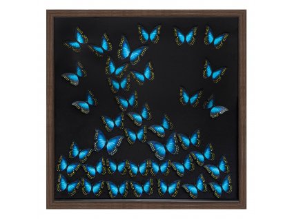 Nástěnná dekorace 3D s motýly, 55 x 55 cm