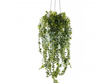 Umělá rostlina SENECIO, závěsná, 60 cm