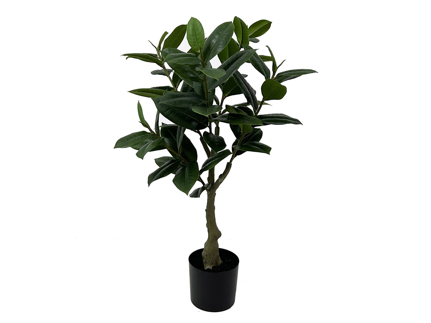 present time Umělá rostlina, gumovník, 69 cm zelená