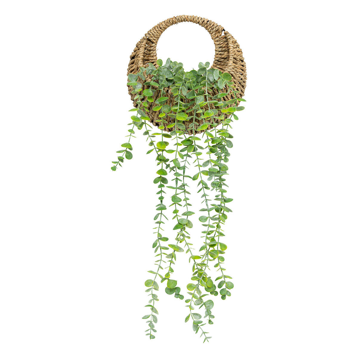 Atmosphera Umělý eukalyptus v pleteném květináči, 70 cm zelená