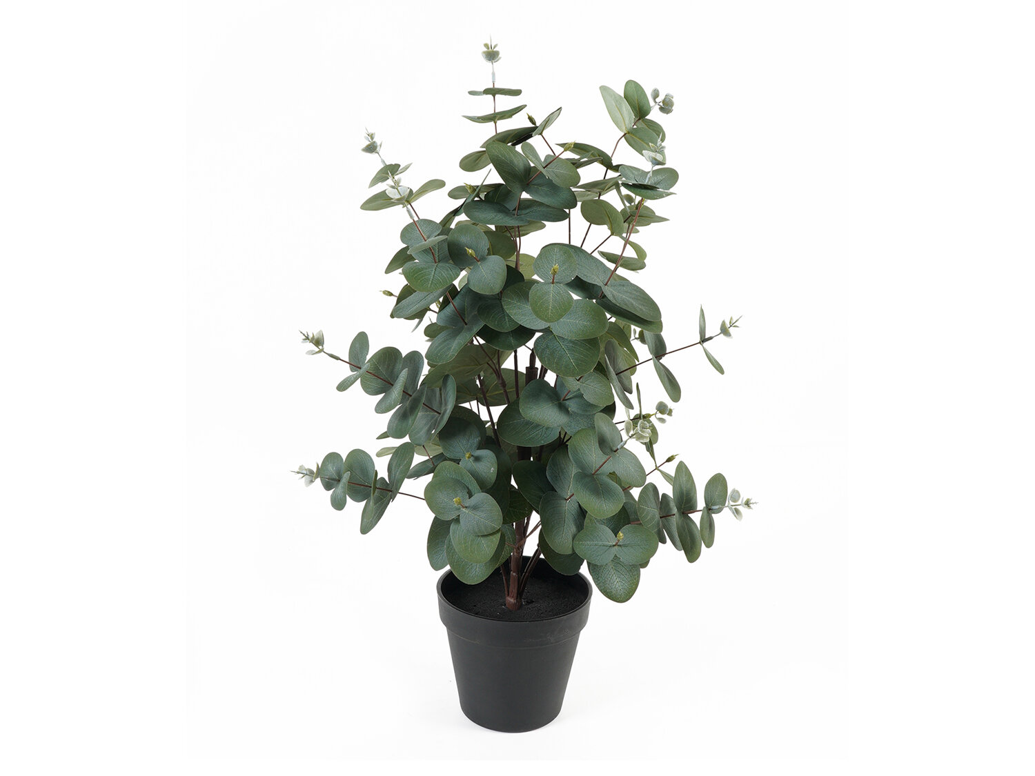 present time Umělý eukalyptus v květináči EDEN, 54 cm zelený