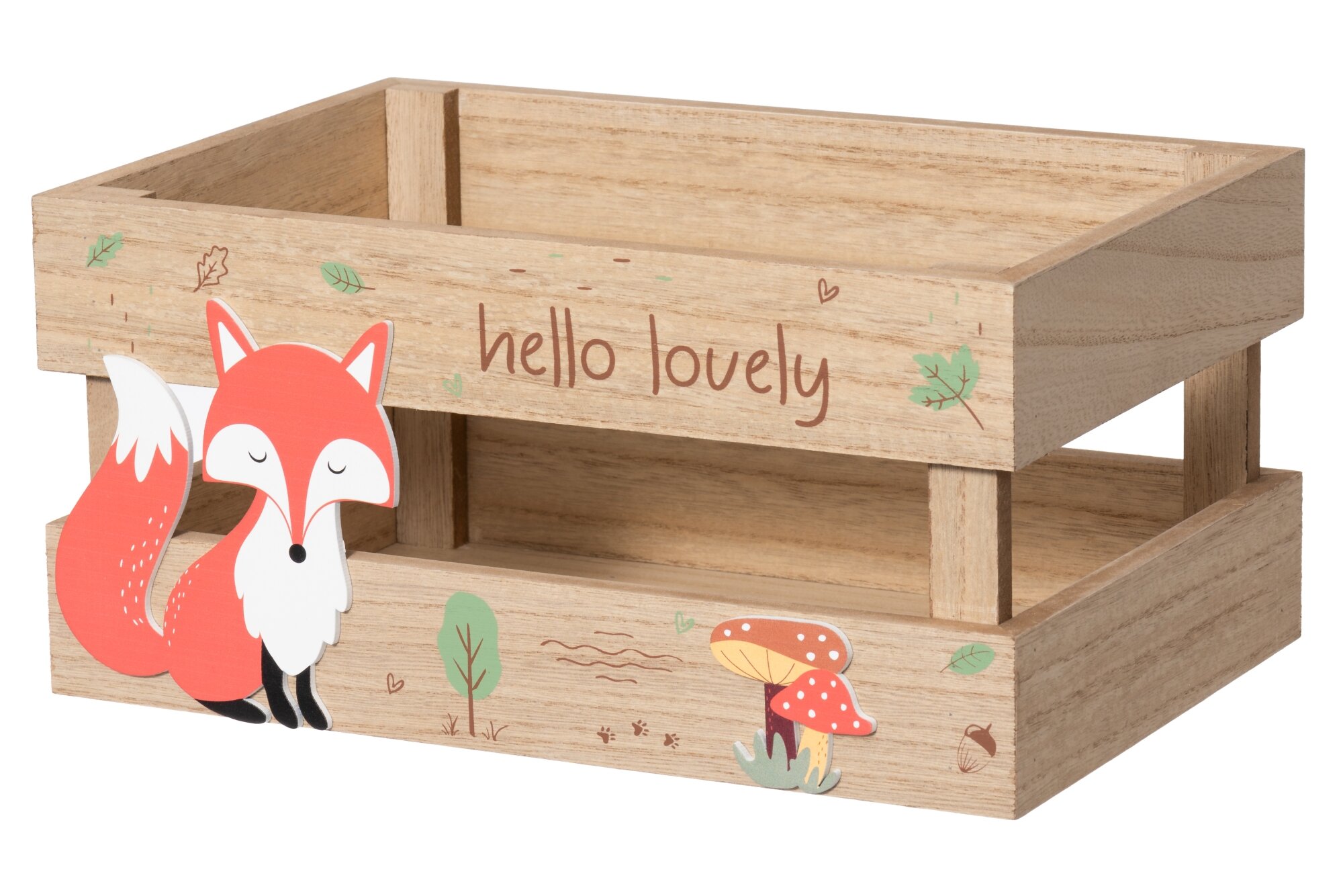4Living Úložný box FOXY, 20,5 x 30,5 x 14,5 cm hnědý