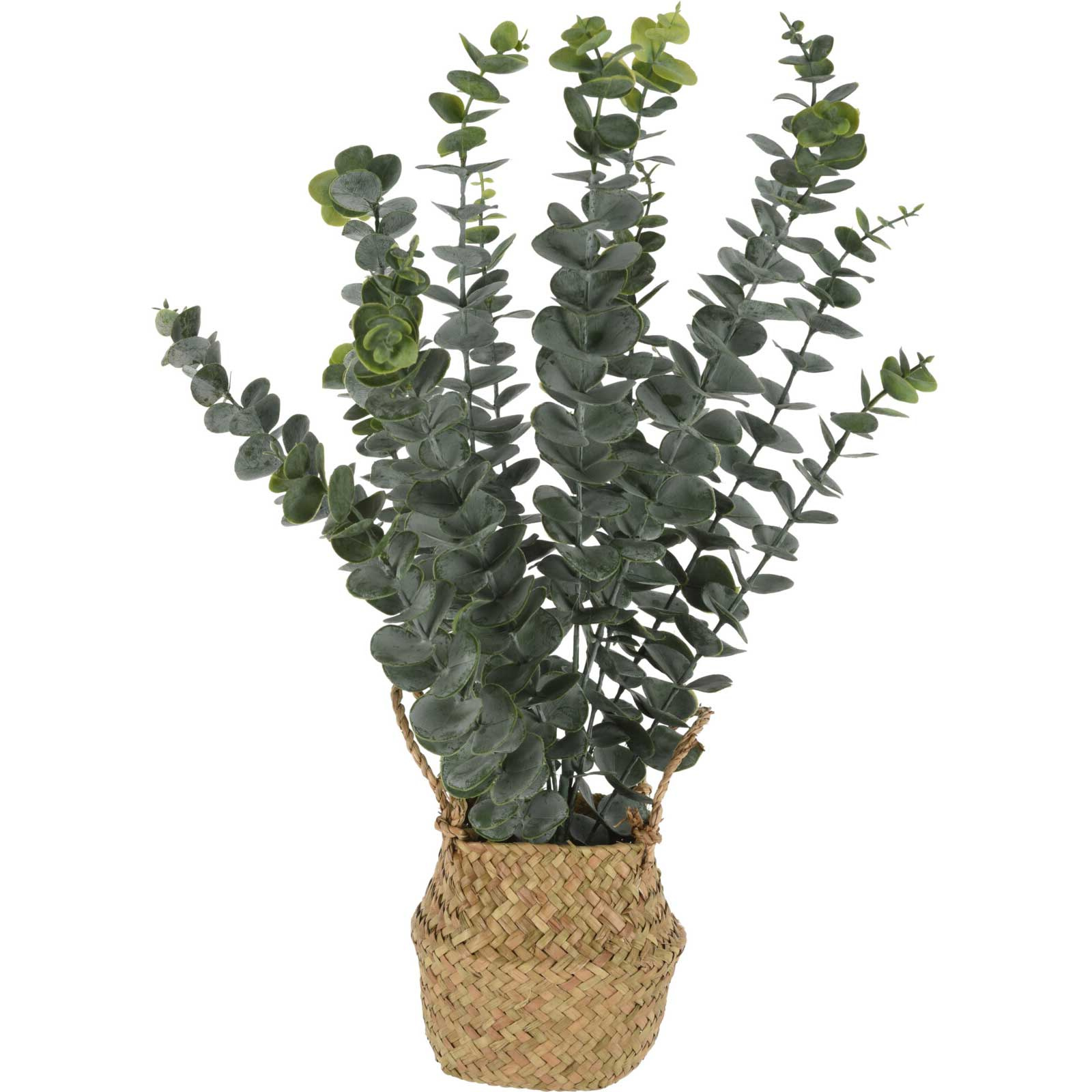 ProGarden Umělá rostlina eukalyptu v košíku, 50 cm zelený