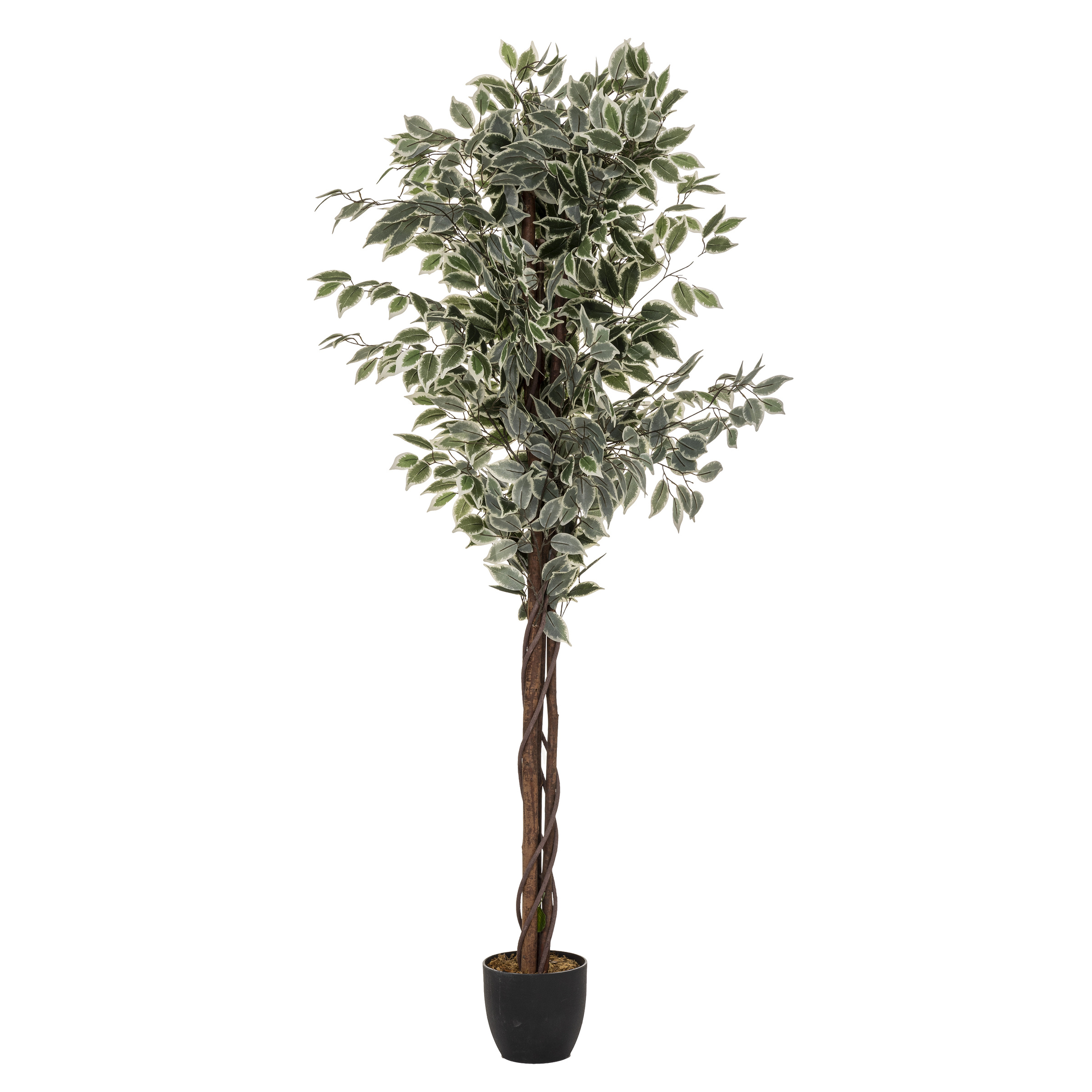 Atmosphera Vysoký umělý fíkus s květináčem, dvoubarevný, výška 180 cm zelený