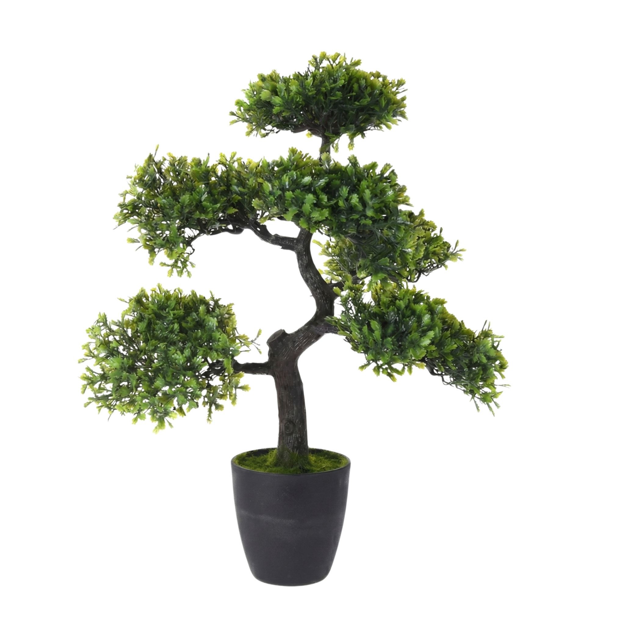 Botanical Decoration Umělá bonsaj asymetrická v květináči, 32 × 32 × 50 cm zelený 104583