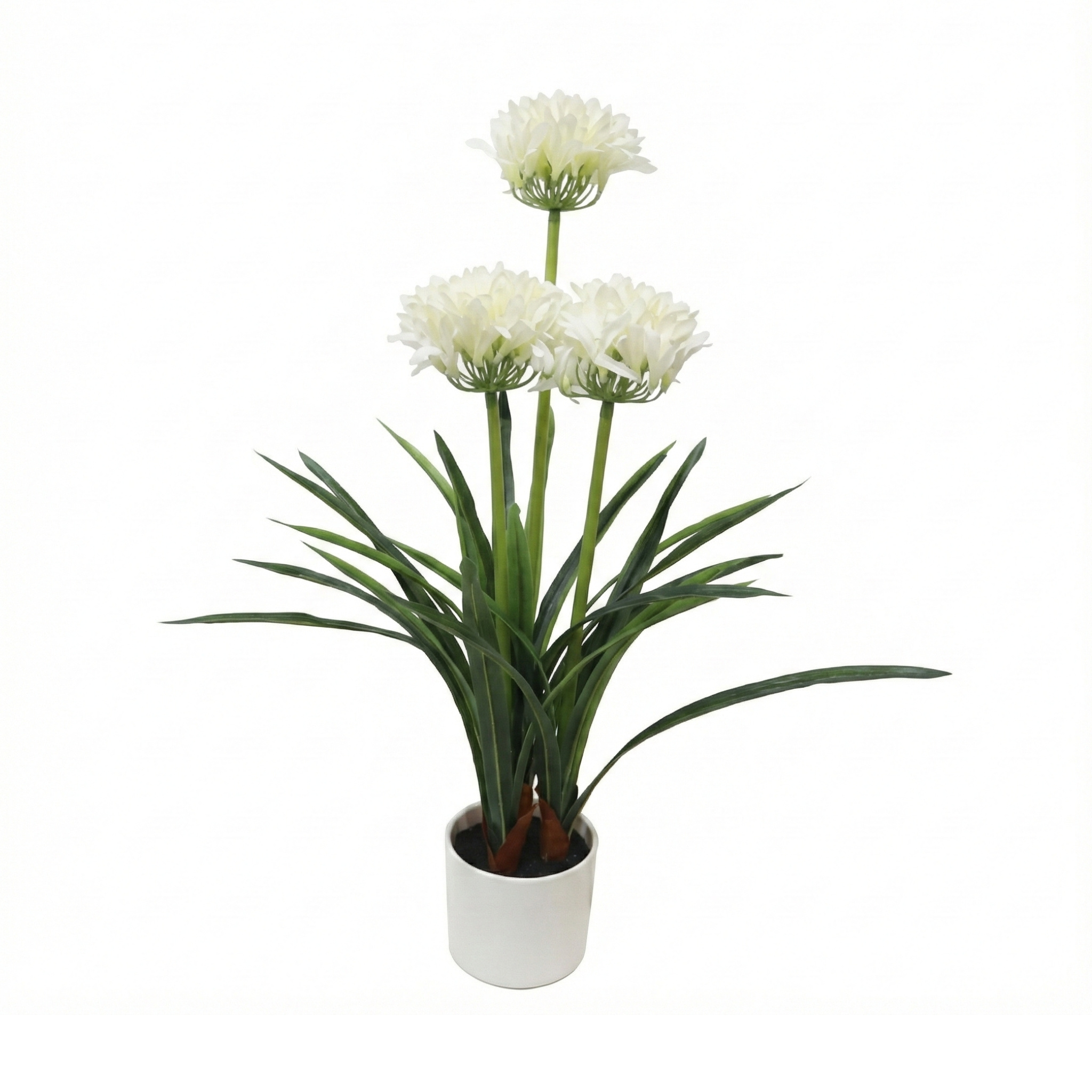 Botanical Decoration Umělá květina bílá v květináči Agapanthus, 50 x 80 cm zelený 104594