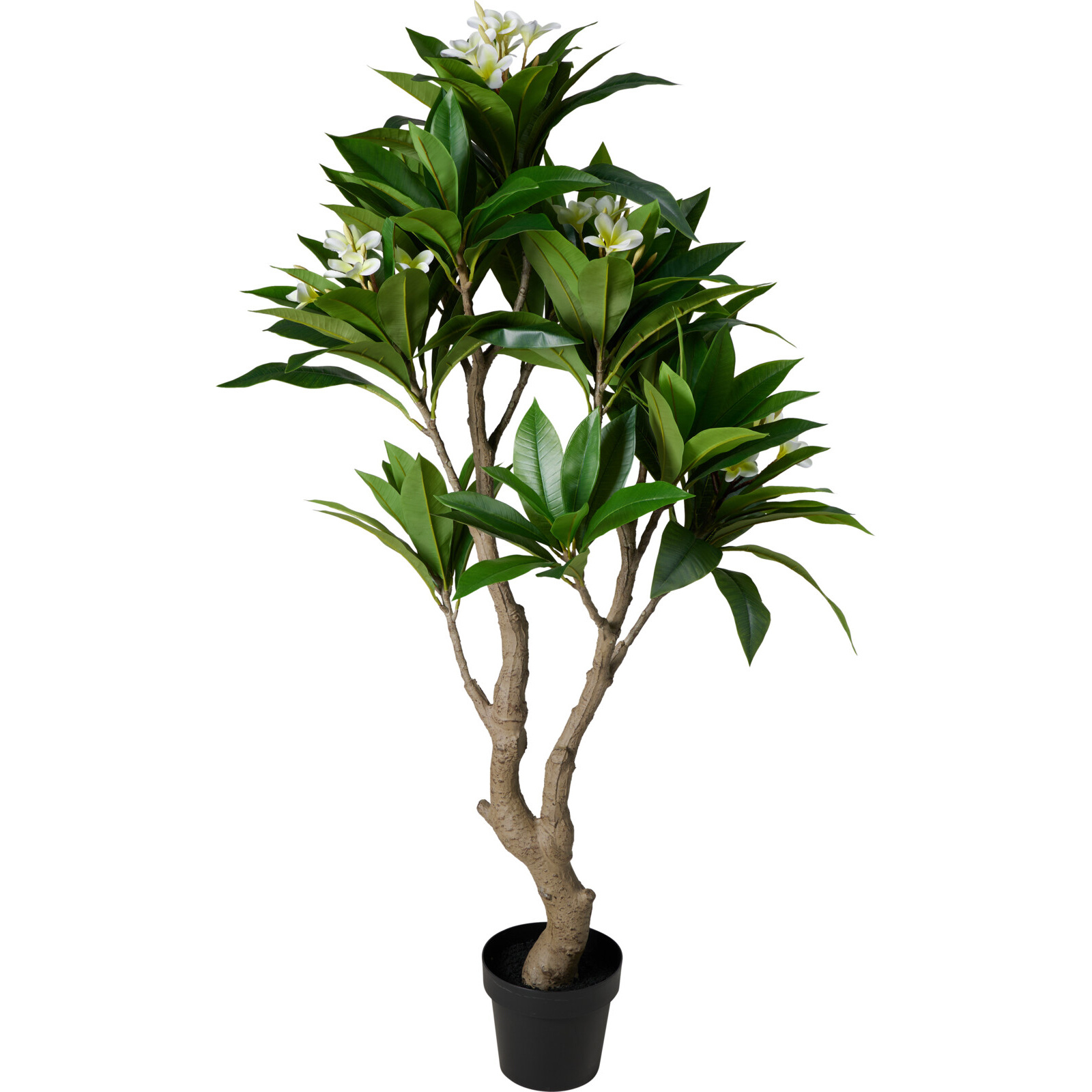 Botanical Decoration Umělý stromek SÖLVA, 150 cm zelený 104596