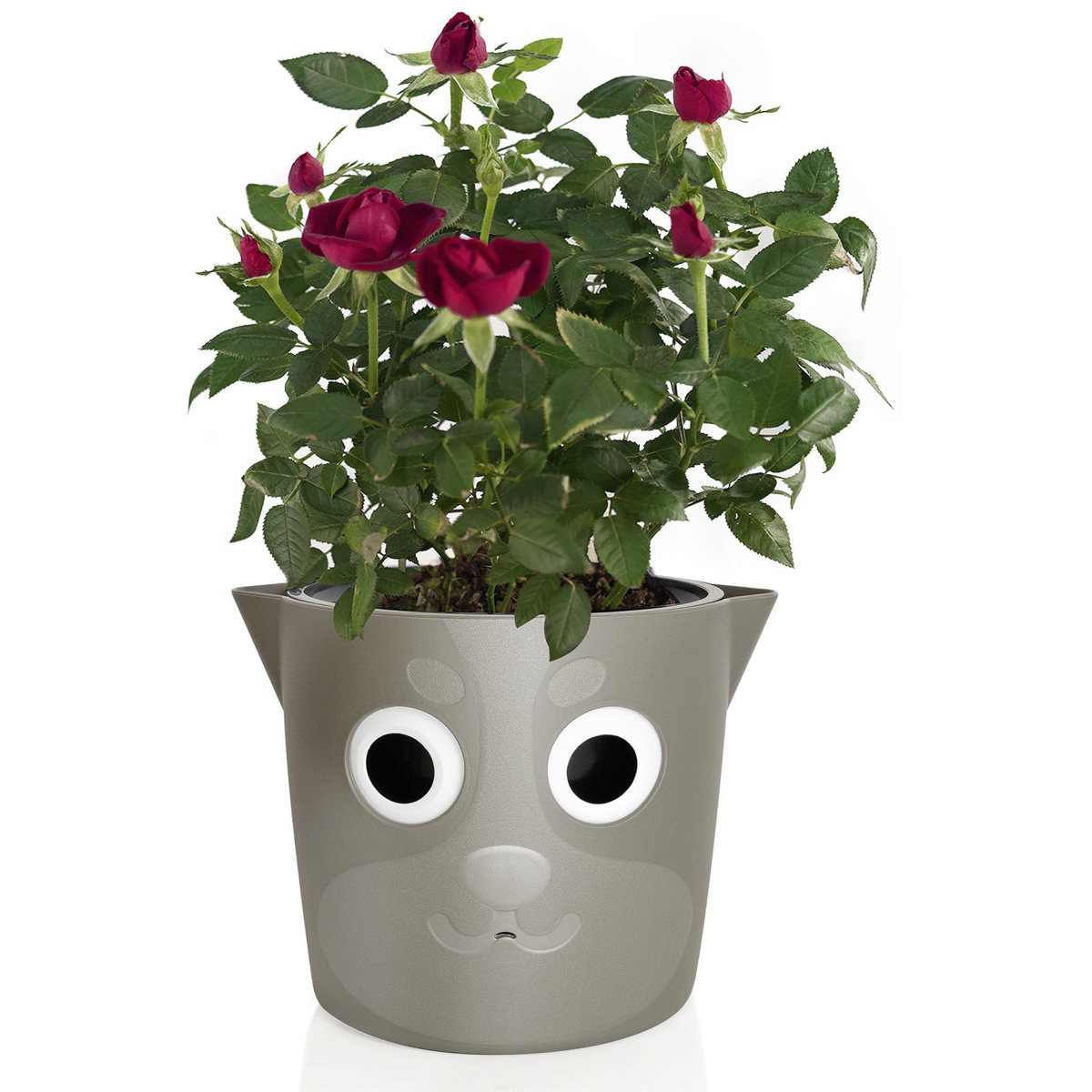 Maximex Květináč s ukazatelem hladiny vody, Ø 18 cm, hnědý hnědá