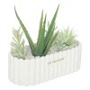 Umělé rostliny: aloe vera a sukulenty v keramickém květináči Rivi, výška 20 cm