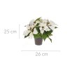 Umělá betlémská hvězda v květináči, výš. 25 cm, bílá