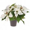 Umělá betlémská hvězda v květináči, výš. 25 cm, bílá