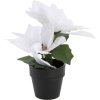 Umělá betlémská hvězda v květináči, výš, 18 cm, bílá